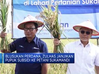 Blusukan Perdana, Zulhas Janjikan Pupuk Subsidi ke Petani Sukamandi