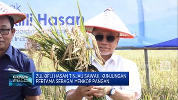Video: Kunjungan Pertama Menkop Pangan, Zulkifli Hasan Tinjau Sawah