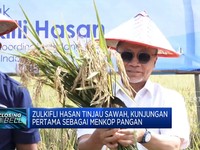 Video: Kunjungan Pertama Menkop Pangan, Zulkifli Hasan Tinjau Sawah