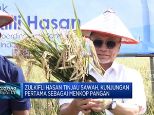 Video: Kunjungan Pertama Menkop Pangan, Zulkifli Hasan Tinjau Sawah