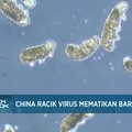 Video: China Racik Virus Mematikan Baru