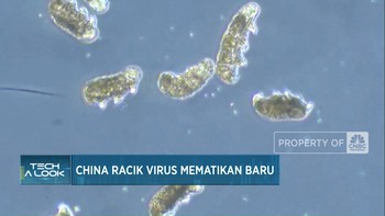 Video: China Racik Virus Mematikan Baru