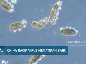 Video: China Racik Virus Mematikan Baru