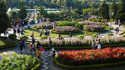 Aturan Baru! Vietnam Pangkas Masa Bebas Visa WNI dari 30 Hari Jadi 14 Hari