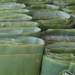 Daun Pisang RI Laris Manis di Inggris, Harganya Bikin Kaget