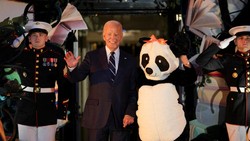 Video: Jill Biden Berkostum Panda di Perayaan Halloween Gedung Putih