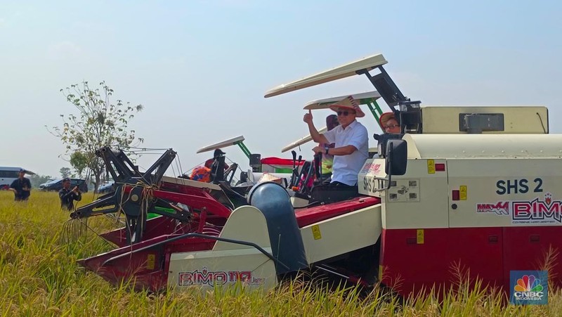 Menko Pangan Zulkifli Hasan blusukan ke Subang, nyebur ke sawah buat panen raya. (CNBC Indonesia/Martyasari Rizky)