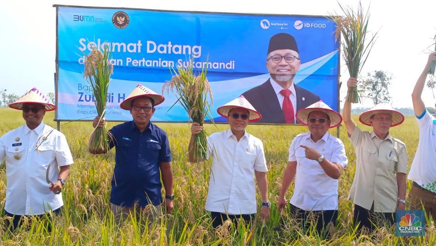 Menko Pangan Zulkifli Hasan blusukan ke Subang, nyebur ke sawah buat panen raya. (CNBC Indonesia/Martyasari Rizky)