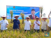 Zulhas Akhirnya Punya Kantor Kemenko Pangan, Lokasinya di Sini