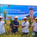 Turun ke Sawah Hingga Naik Mesin Combine, Zulhas Panen Raya di Subang