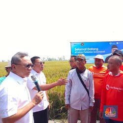 Zulhas Akui Penyaluran Pupuk Rumit, Salah Langkah Auto Masuk Penjara