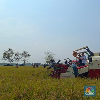 Potret Zulhas Blusukan ke Subang, Nyebur ke Sawah-Naik Mesin Combine