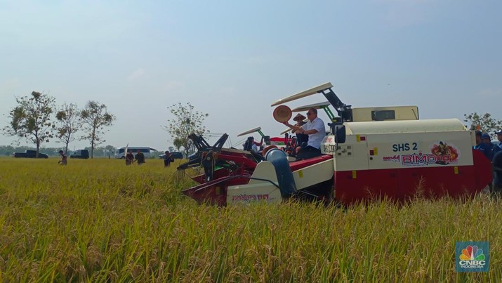 Menko Pangan Zulkifli Hasan blusukan ke Subang, nyebur ke sawah buat panen raya. (CNBC Indonesia/Martyasari Rizky)