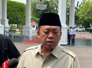 537 Perusahaan Sawit Bakal Didenda, Nilainya Dihitung BPKP