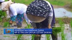 Video: Pemerintah Siapkan Dana Rp 15 Triliun Untuk Cetak Sawah
