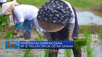 Video: Pemerintah Siapkan Dana Rp 15 Triliun Untuk Cetak Sawah