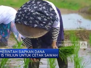 Video: Pemerintah Siapkan Dana Rp 15 Triliun Untuk Cetak Sawah
