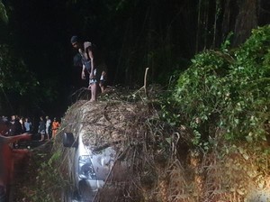 Pohon Tumbang Timpa Mobil-Motor di Ubud, 2 Orang Luka-luka