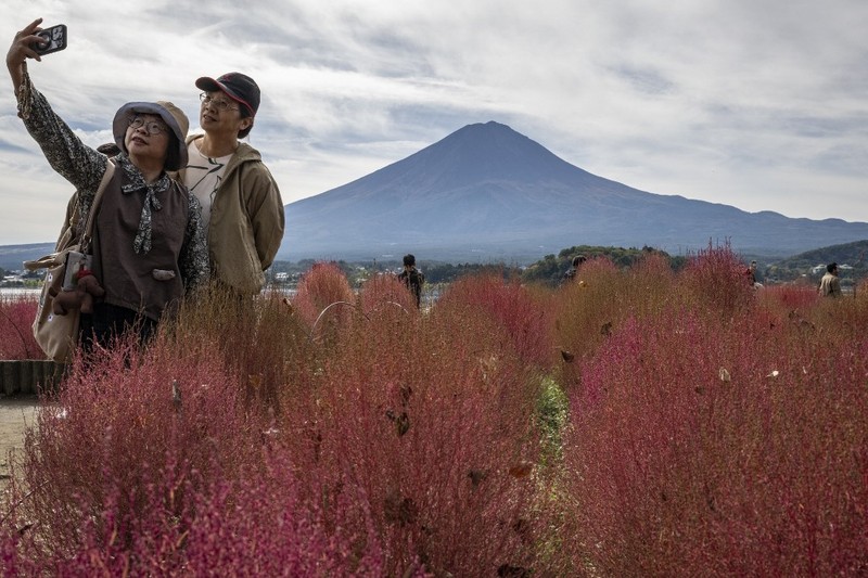 Warga beraktivitas dengan latar belakang Gunung Fuji, gunung tertinggi di Jepang dengan ketinggian 3.776 meter (12.460 kaki), di Fujikawaguchiko, prefektur Yamanashi pada tanggal 31 Oktober 2024. (AFP/YUICHI YAMAZAKI) Warga beraktivitas dengan latar belakang Gunung Fuji, gunung tertinggi di Jepang dengan ketinggian 3.776 meter (12.460 kaki), di Fujikawaguchiko, prefektur Yamanashi pada tanggal 31 Oktober 2024. (AFP/YUICHI YAMAZAKI)
