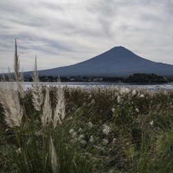 Siapa Pemilik Puncak Gunung Fuji Jepang? Ini Penjelasannya