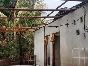 Angin Kencang Terjang Buleleng, Atap Rumah Terbang-Pohon Tumbang