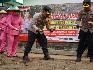 Dukung Swasembada Pangan, Kapolres Pacitan Siap Jadi Polisi Jagung
