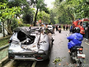 Pohon Tumbang di Jalan Cisadea Bandung, 5 Mobil Rusak-Ibu dan Anak Luka