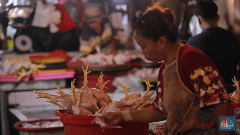 Penjual menunjukan perhiasan emas di salah satu Toko di Pasar Minggu , Jakarta, Jumat (1/11/2024). (CNBC Indonesia/Muhammad Sabki) Penjual menunjukan perhiasan emas di salah satu Toko di Pasar Minggu , Jakarta, Jumat (1/11/2024). (CNBC Indonesia/Muhammad Sabki)