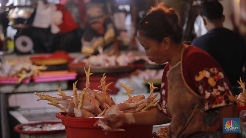 Penjual menunjukan perhiasan emas di salah satu Toko di Pasar Minggu , Jakarta, Jumat (1/11/2024). (վ/Muhammad Sabki)
