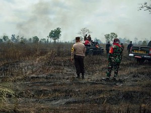 TN Way Kambas Kebakaran, Polisi Diminta Usut Siapa Dalangnya