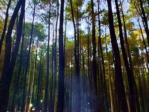 Wisata Kedung Klurak Ecopark: Daya Tarik, Rute, HTM, dan Jam Buka