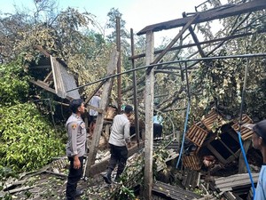 Warga Blitar Tewas Tertimpa Pohon Tumbang