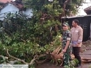 Angin Kencang Kembali Terjang Trenggalek, 24 Rumah Rusak