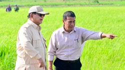 Video: Kunker Perdana, Prabowo Tinjau Lumbung Pangan di Merauke