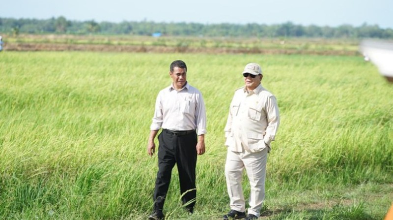 Presiden Prabowo Subianto mengunjungi sawah di Merauke untuk program Swasembada Pangan (Foto: Dok. Kementan) Presiden Prabowo Subianto mengunjungi sawah di Merauke untuk program Swasembada Pangan (Foto: Dok. Kementan)