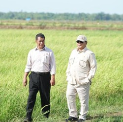 Prabowo Turun Gunung Perdana, Pantau Langsung Swasembada Pangan!