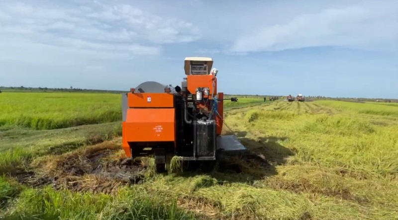 Presiden Prabowo Subianto mengunjungi sawah di Merauke untuk program Swasembada Pangan (Foto: Dok. Kementan) Presiden Prabowo Subianto mengunjungi sawah di Merauke untuk program Swasembada Pangan (Foto: Dok. Kementan)