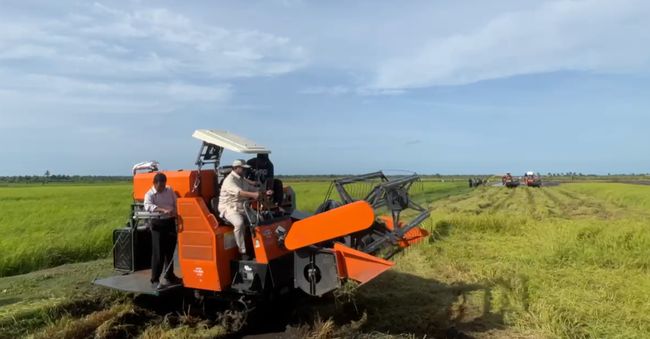 Pemerintah Perkuat Perlindungan Sawah dan Reforma Agraria untuk Jaga Swasembada Pangan Pemerintah Perkuat Perlindungan Sawah dan Reforma Agraria untuk Jaga Swasembada Pangan