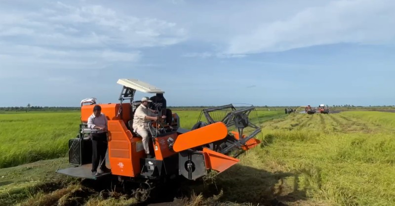 Presiden Prabowo Subianto mengunjungi sawah di Merauke untuk program Swasembada Pangan (Foto: Dok. Kementan) Presiden Prabowo Subianto mengunjungi sawah di Merauke untuk program Swasembada Pangan (Foto: Dok. Kementan)