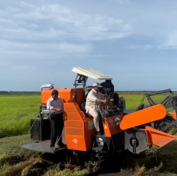 Prabowo Turun ke Sawah, Cek Program Swasembada Pangan di Papua