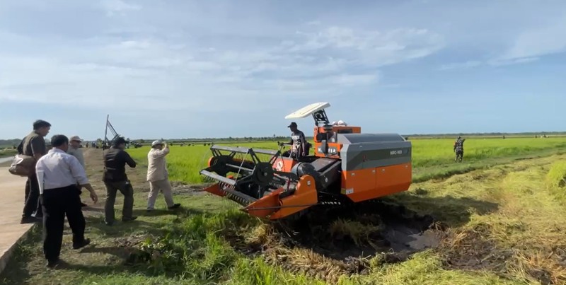 Presiden Prabowo Subianto mengunjungi sawah di Merauke untuk program Swasembada Pangan (Foto: Dok. Kementan)