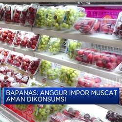 Video: Bapanas Sebut Anggur Muscat Aman Dikonsumsi