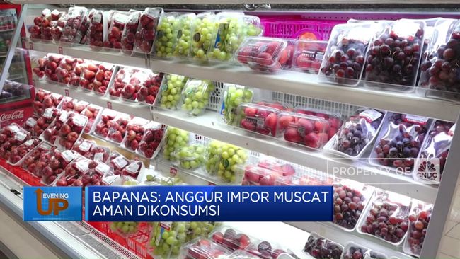 Video: Bapanas Sebut Anggur Muscat Aman Dikonsumsi