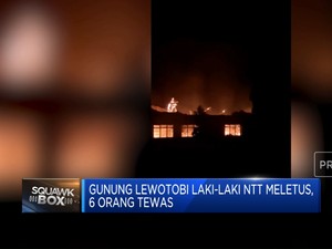  Gunung Lewotobi Laki-Laki di NTT Meletus, 6 Orang Tewas