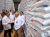Produksi Beras Kurang, Zulhas Buka-bukaan Stok Beras Tahun 2025