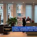 Video: Permintaan Melemah, OPEC Tahan Produksi Minyak di Akhir 2024