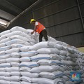 Luar Biasa, Stok Beras di Gudang Bulog Menuju 4 Juta Ton
