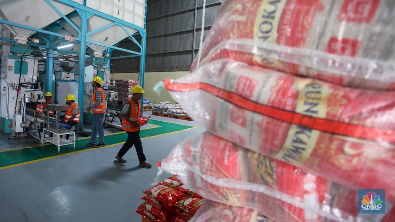 Pekerja memeriksa cadangan beras pemerintah (CBP) di Gudang Bulog, Kelapa Gading, Jakarta Utara, Senin (4/11/2024). (CNBC Indonesia/Faisal Rahman)