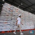 Intip Penampakan Stok Beras Menggunung di Gudang Bulog Jakarta