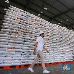 Intip Penampakan Stok Beras Menggunung di Gudang Bulog Jakarta